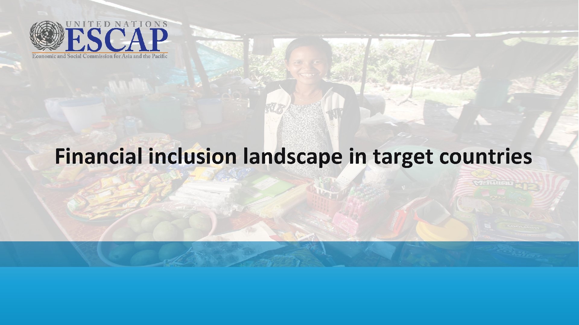 Financial inclusion landscape in target countries 