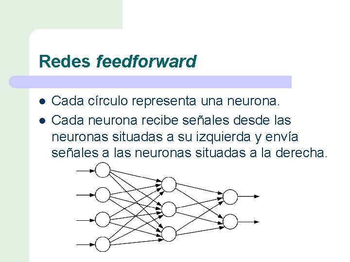 Redes feedforward l l Cada círculo representa una neurona. Cada neurona recibe señales desde