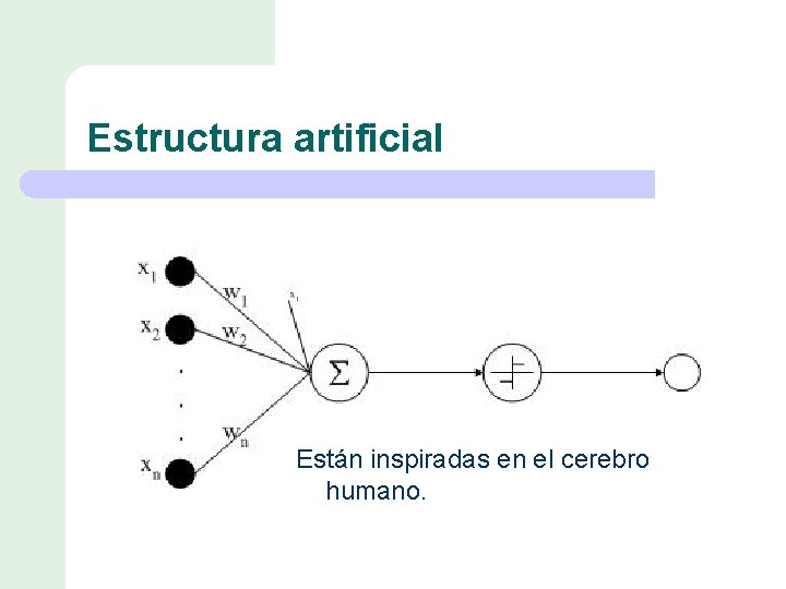 Estructura artificial Están inspiradas en el cerebro humano. 