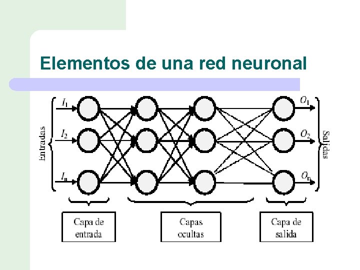 Elementos de una red neuronal 