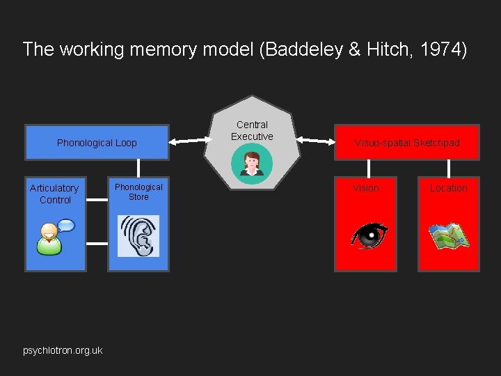 The working memory model (Baddeley & Hitch, 1974) Phonological Loop Articulatory Control psychlotron. org.