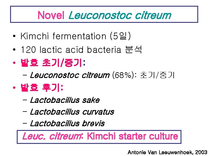 Novel Leuconostoc citreum • Kimchi fermentation (5일) • 120 lactic acid bacteria 분석 •