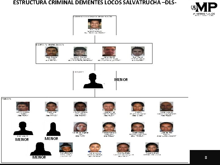 ESTRUCTURA CRIMINAL DEMENTES LOCOS SALVATRUCHA –DLS- MENOR CIENCIA – VERDAD - JUSTICIA 8 