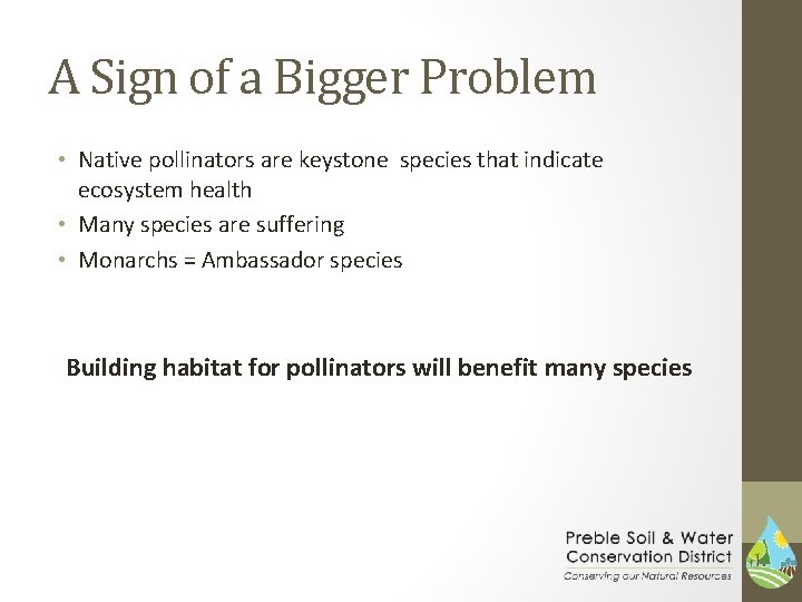 A Sign of a Bigger Problem • Native pollinators are keystone species that indicate