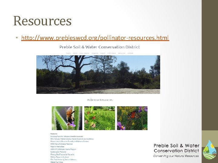 Resources • http: //www. prebleswcd. org/pollinator-resources. html 