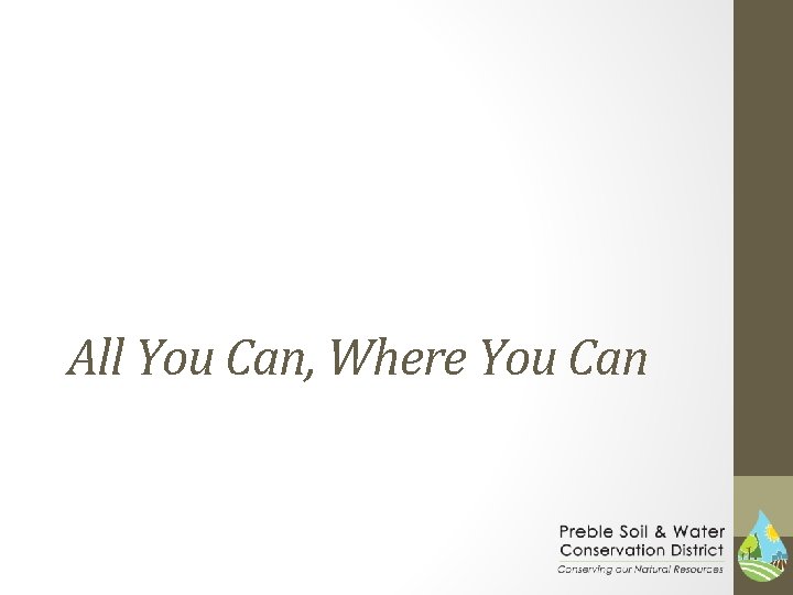 All You Can, Where You Can 