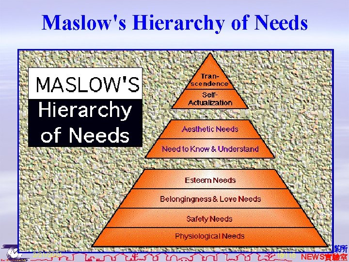 Maslow's Hierarchy of Needs 2/21/2021 資 系網媒所 18/118 NEWS實驗室 