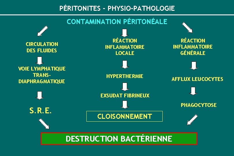 PÉRITONITES - PHYSIO-PATHOLOGIE CONTAMINATION PÉRITONÉALE CIRCULATION DES FLUIDES RÉACTION INFLAMMATOIRE LOCALE VOIE LYMPHATIQUE TRANSDIAPHRAGMATIQUE