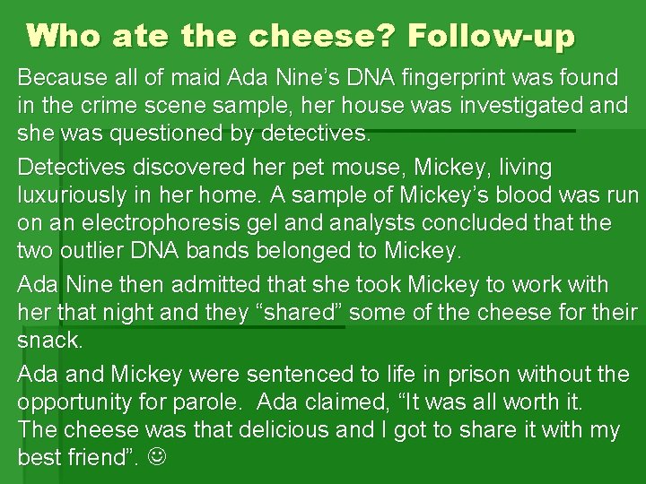 Who ate the cheese? Follow-up Because all of maid Ada Nine’s DNA fingerprint was Who ate the cheese? Follow-up Because all of maid Ada Nine’s DNA fingerprint was