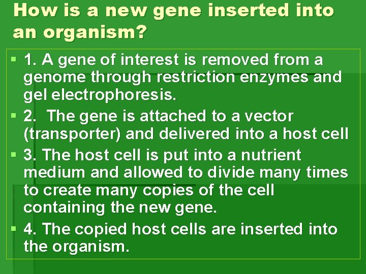 How is a new gene inserted into an organism? § 1. A gene of How is a new gene inserted into an organism? § 1. A gene of