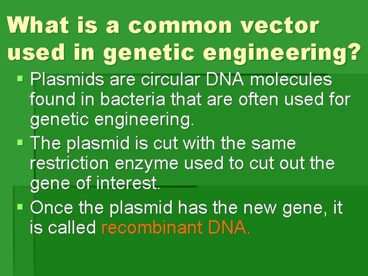 What is a common vector used in genetic engineering? § Plasmids are circular DNA What is a common vector used in genetic engineering? § Plasmids are circular DNA