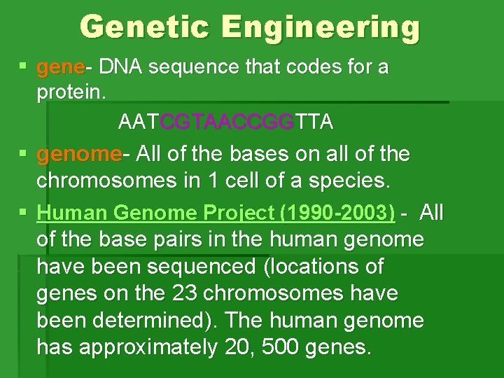 Genetic Engineering § gene- DNA sequence that codes for a protein. AATCGTAACCGGTTA § genome- Genetic Engineering § gene- DNA sequence that codes for a protein. AATCGTAACCGGTTA § genome-