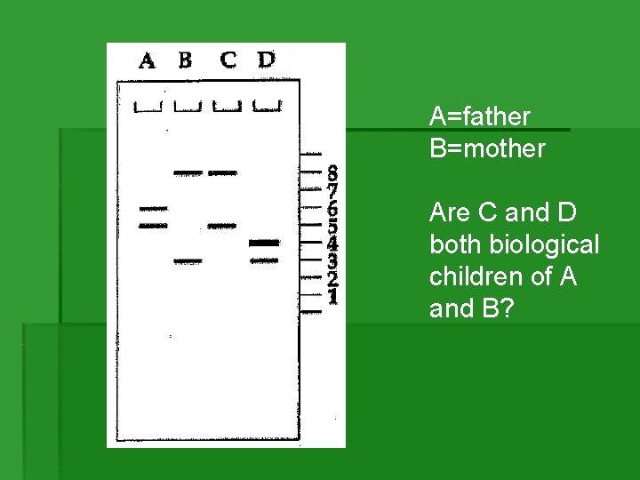 A=father B=mother Are C and D both biological children of A and B? A=father B=mother Are C and D both biological children of A and B?