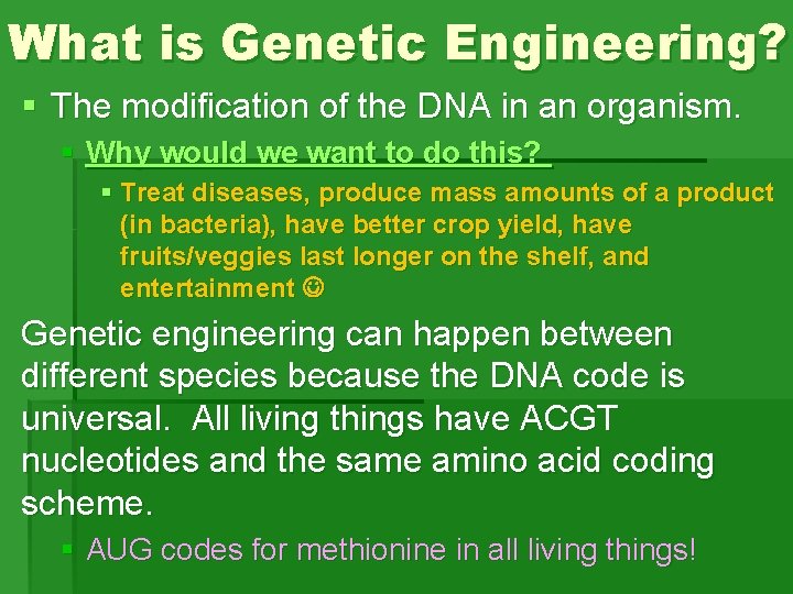 What is Genetic Engineering? § The modification of the DNA in an organism. § What is Genetic Engineering? § The modification of the DNA in an organism. §