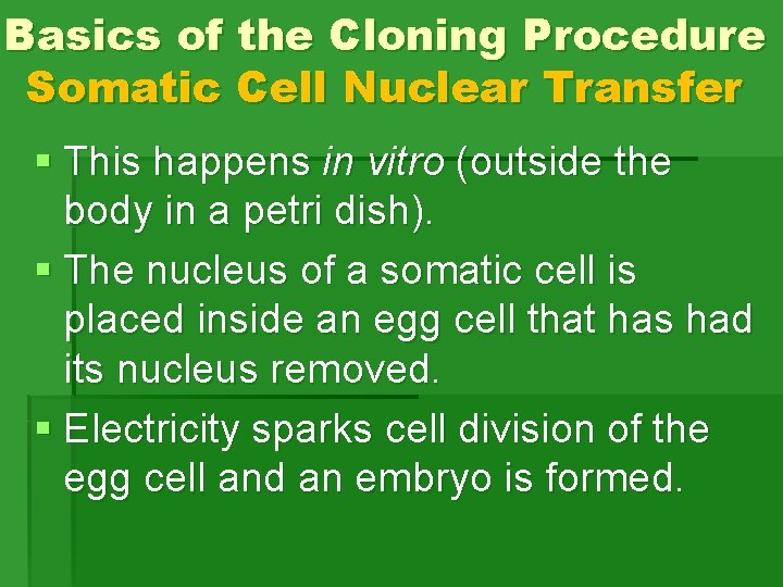 Basics of the Cloning Procedure Somatic Cell Nuclear Transfer § This happens in vitro Basics of the Cloning Procedure Somatic Cell Nuclear Transfer § This happens in vitro