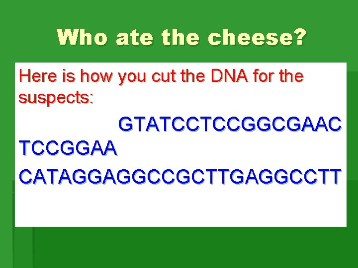 Who ate the cheese? Here is how you cut the DNA for the suspects: Who ate the cheese? Here is how you cut the DNA for the suspects:
