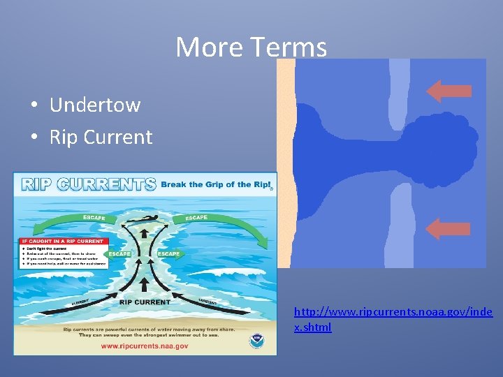 More Terms • Undertow • Rip Current http: //www. ripcurrents. noaa. gov/inde x. shtml