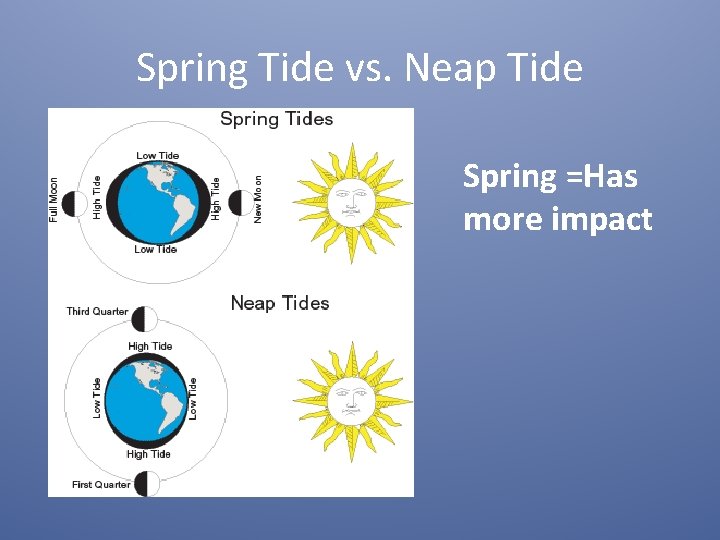 Spring Tide vs. Neap Tide Spring =Has more impact 