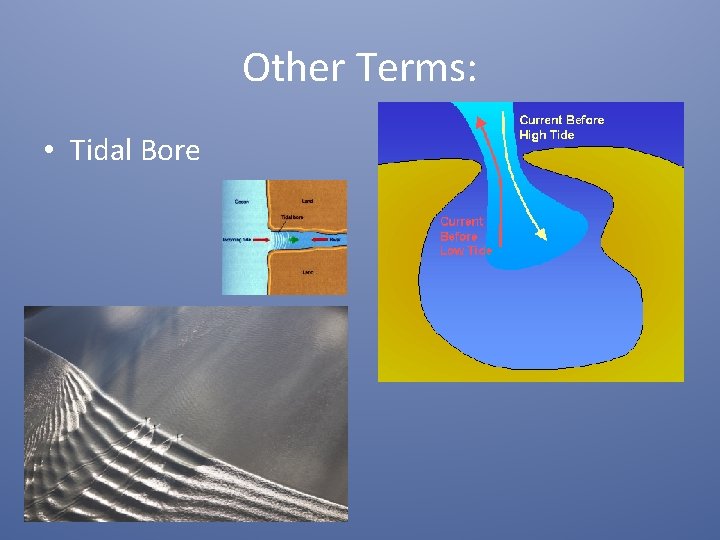 Other Terms: • Tidal Bore 