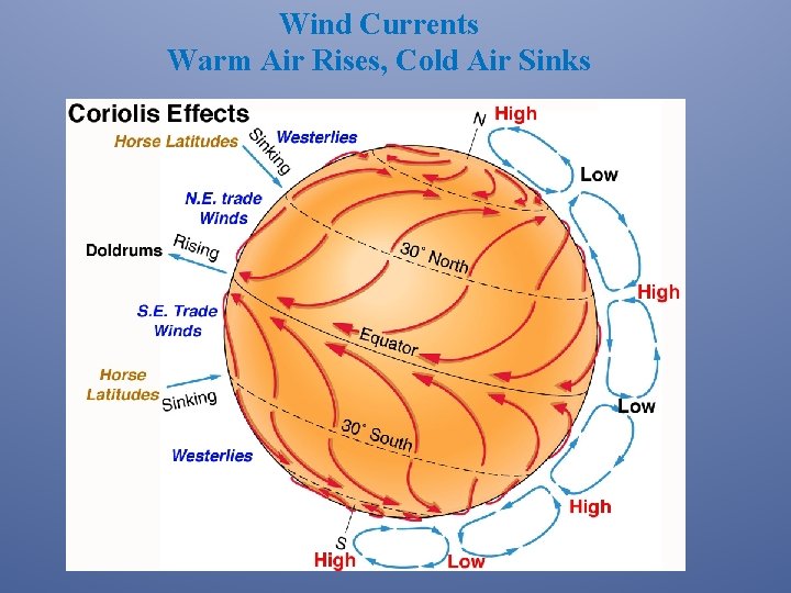 Wind Currents Warm Air Rises, Cold Air Sinks 