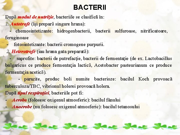 BACTERII După modul de nutriţie, bacteriile se clasifică în: 1. Autotrofe (îşi prepară singure