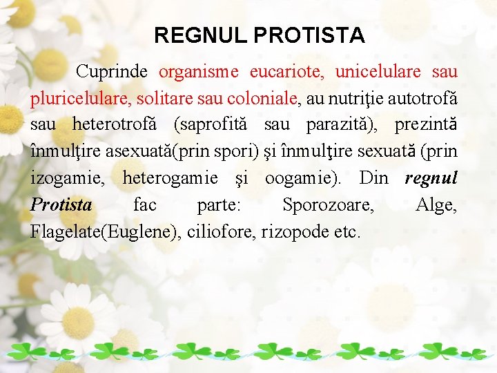 REGNUL PROTISTA Cuprinde organisme eucariote, unicelulare sau pluricelulare, solitare sau coloniale, au nutriţie autotrofă