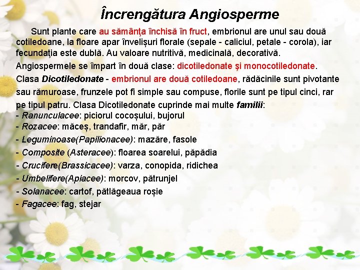 Încrengătura Angiosperme Sunt plante care au sămânţa închisă în fruct, embrionul are unul sau