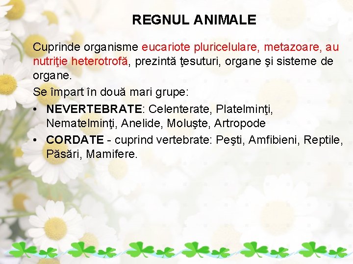 REGNUL ANIMALE Cuprinde organisme eucariote pluricelulare, metazoare, au nutriţie heterotrofă, prezintă ţesuturi, organe şi