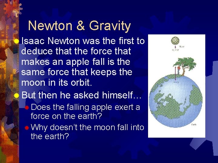 Newton & Gravity ® Isaac Newton was the first to deduce that the force
