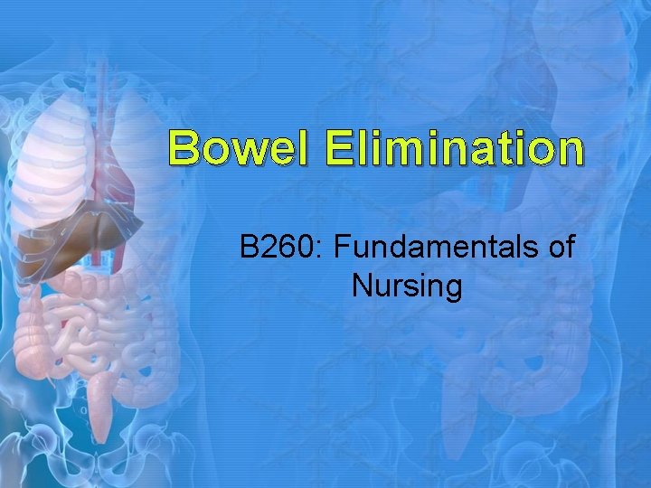 Bowel Elimination B 260: Fundamentals of Nursing 