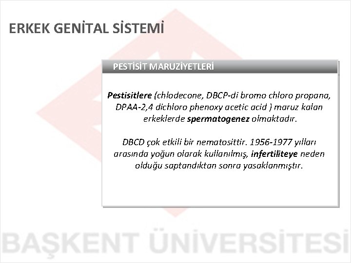 ERKEK GENİTAL SİSTEMİ PESTİSİT MARUZİYETLERİ Pestisitlere (chlodecone, DBCP-di bromo chloro propana, DPAA-2, 4 dichloro