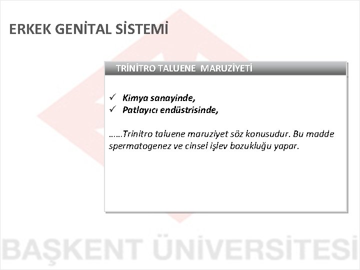 ERKEK GENİTAL SİSTEMİ TRİNİTRO TALUENE MARUZİYETİ ü Kimya sanayinde, ü Patlayıcı endüstrisinde, ……Trinitro taluene