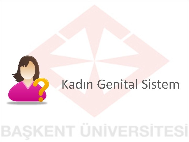 Kadın Genital Sistem 