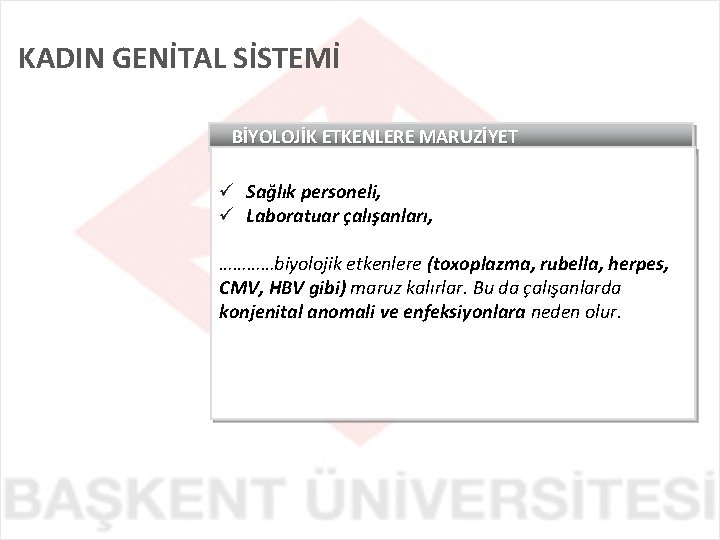 KADIN GENİTAL SİSTEMİ BİYOLOJİK ETKENLERE MARUZİYET ü Sağlık personeli, ü Laboratuar çalışanları, …………biyolojik etkenlere