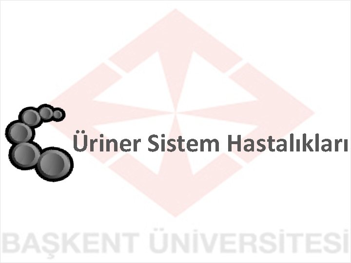 Üriner Sistem Hastalıkları 