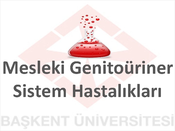 Mesleki Genitoüriner Sistem Hastalıkları 