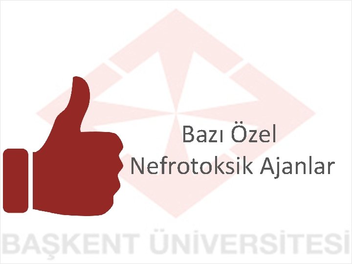 Bazı Özel Nefrotoksik Ajanlar 