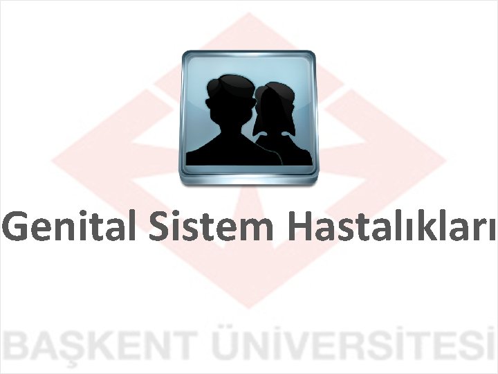 Genital Sistem Hastalıkları 