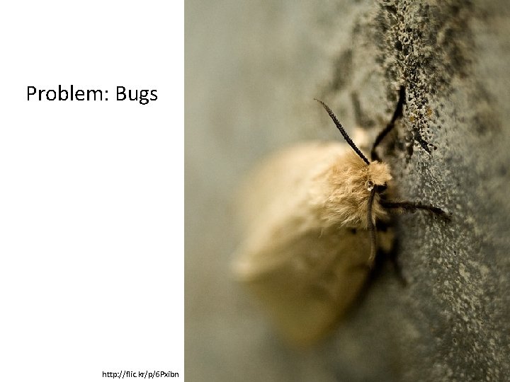 Problem: Bugs http: //flic. kr/p/6 Pxibn 