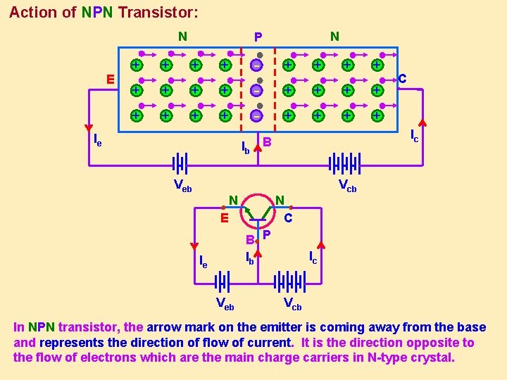 Action of NPN Transistor: N E N P + + + + + -