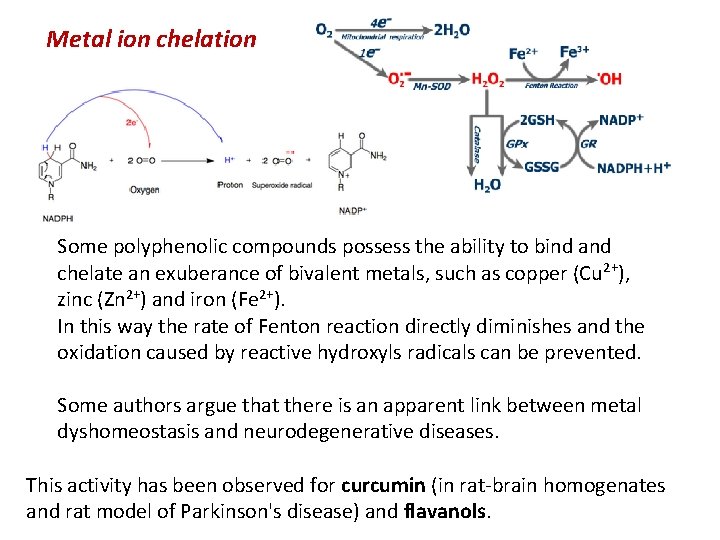 Metal ion chelation Some polyphenolic compounds possess the ability to bind and chelate an