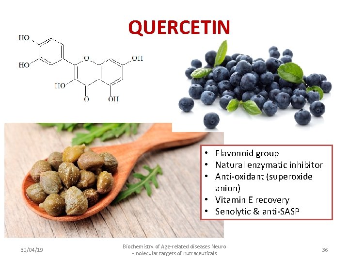 QUERCETIN • Flavonoid group • Natural enzymatic inhibitor • Anti-oxidant (superoxide anion) • Vitamin