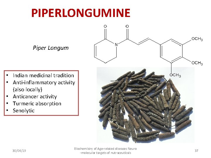 PIPERLONGUMINE Piper Longum • Indian medicinal tradition • Anti-inflammatory activity (also locally) • Anticancer
