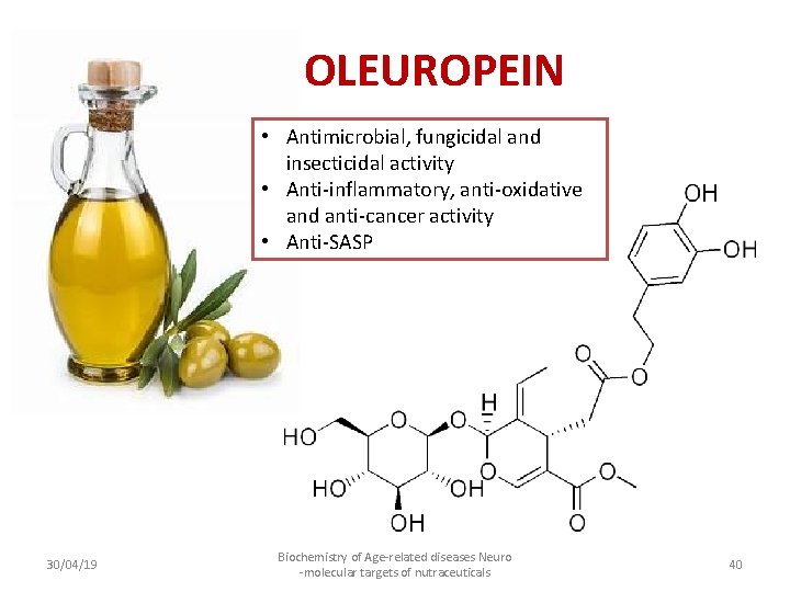 OLEUROPEIN • Antimicrobial, fungicidal and insecticidal activity • Anti-inflammatory, anti-oxidative and anti-cancer activity •