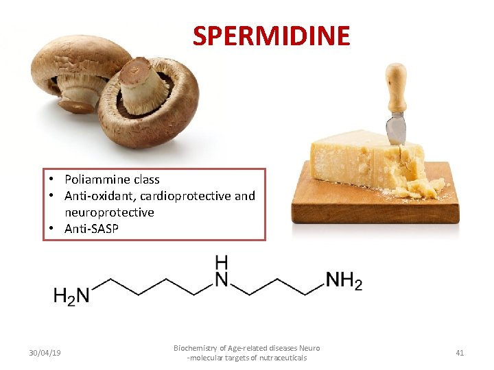 SPERMIDINE • Poliammine class • Anti-oxidant, cardioprotective and neuroprotective • Anti-SASP 30/04/19 Biochemistry of