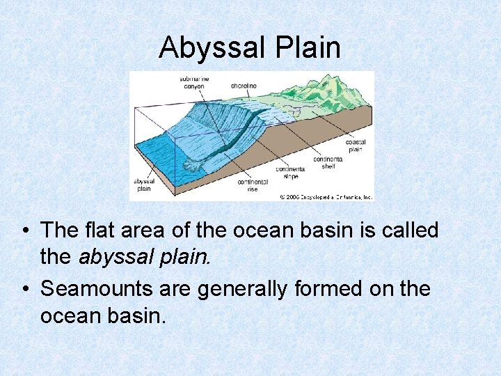Abyssal Plain • The flat area of the ocean basin is called the abyssal