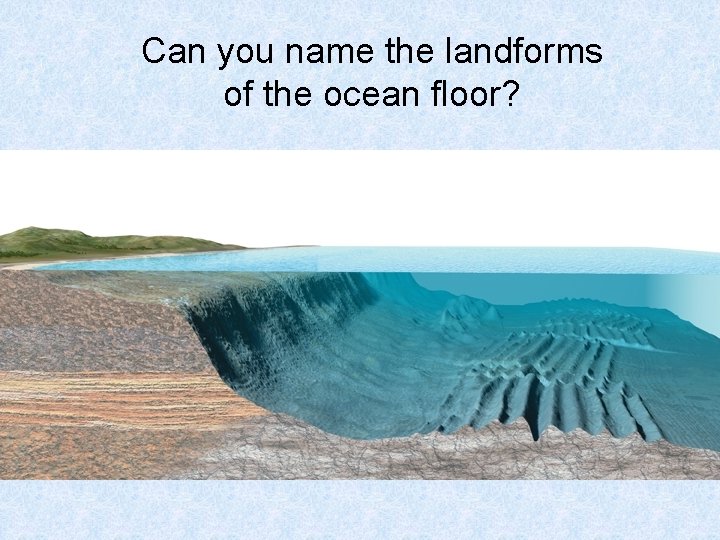 Can you name the landforms of the ocean floor? 