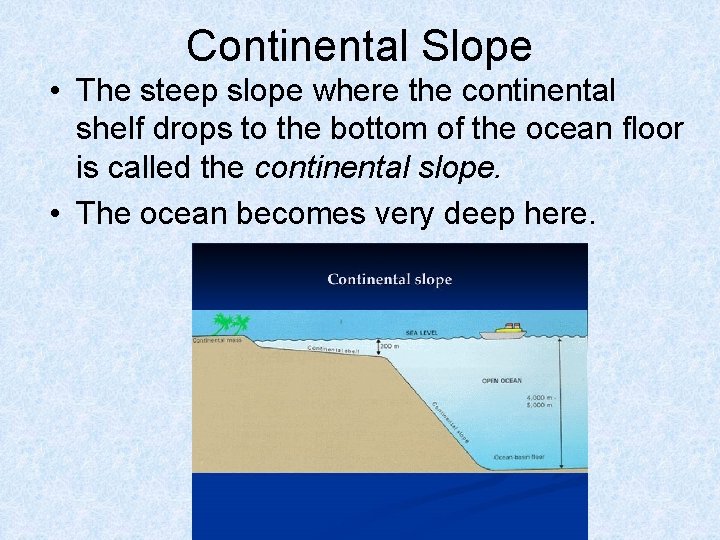 Continental Slope • The steep slope where the continental shelf drops to the bottom
