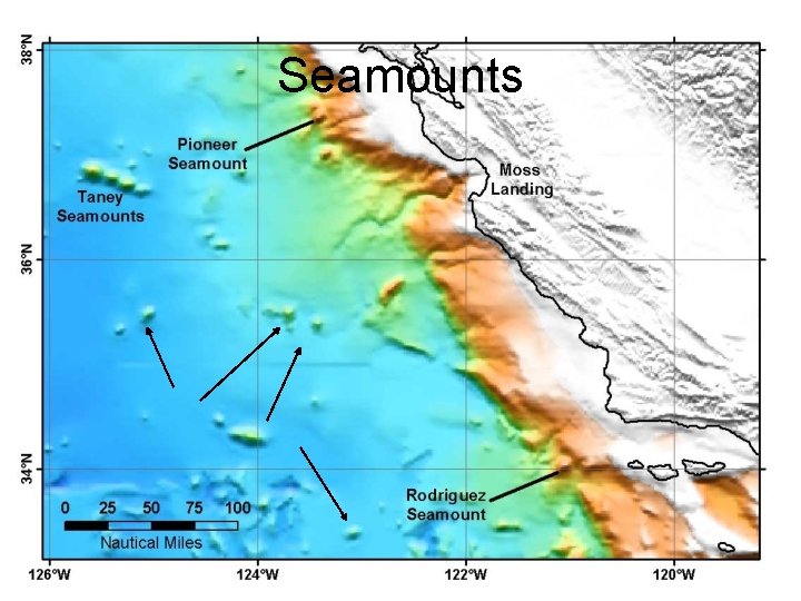 Seamounts 