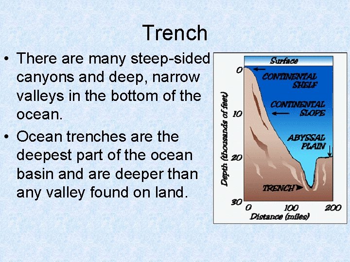 Trench • There are many steep-sided canyons and deep, narrow valleys in the bottom